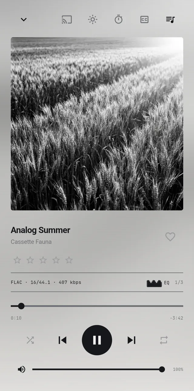 Now Playing, Cassette Fauna – Analog Summer, grayscale cover, the app stays in ink